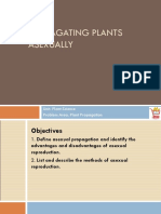 Propagating Plants Asexually: Unit. Plant Science Problem Area. Plant Propagation