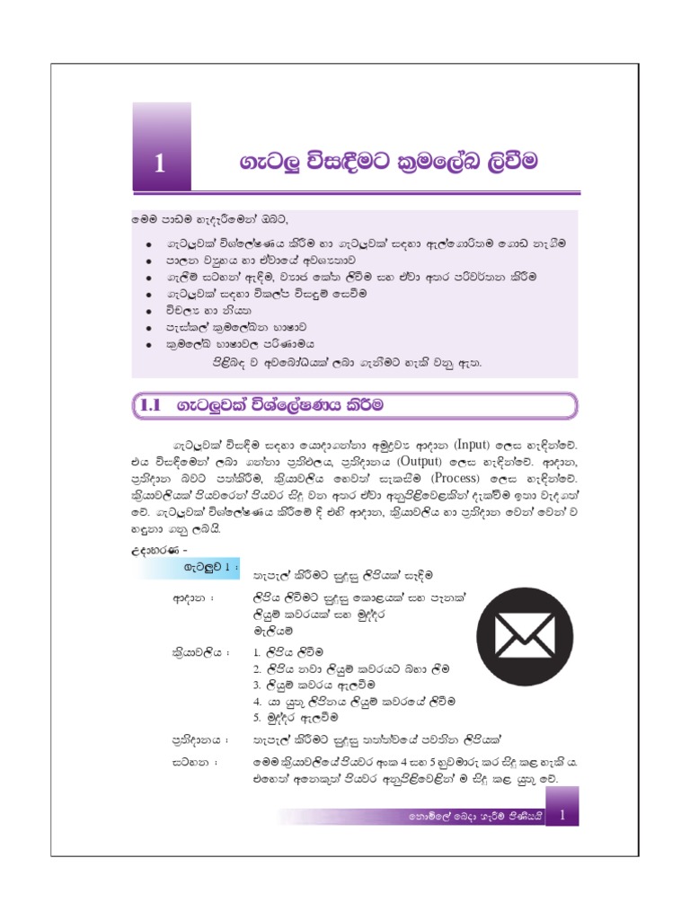 ICT OL Sinhala Grade 10 Chap 01 PDF | PDF | Data | Computer Programming