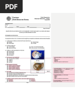 1 Ficha diagnostica_CN7_2018-19.docx