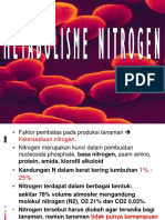 Fis Metabolisma Nitrogen Edit Re