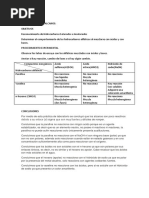 Ejemplos de Constancias Laborales