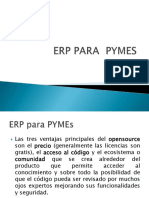 erp pymes