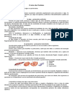 O Reino dos Protistas: Algas e Protozoários