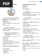 Cláudio - Exo Com via Alveolar