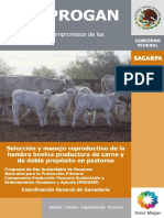 seleccion_manejo reproductivos de hembra productora de carne.pdf