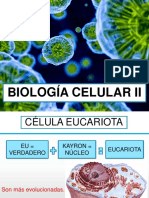 Semana 2 III Bim Biología Celular II