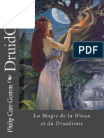 DruidCraft : La Magie de La Wicca Et Du Druidisme 