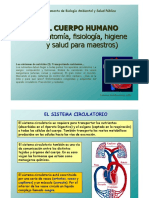 EL SISTEMA CIRCULATORIO.pdf
