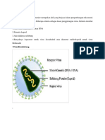 KLASIFIKASI VIRUS