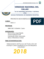 Proyecto de Investigacion