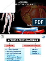 Fisiología Humana