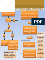 Esquema de Inscripciones de Nacimiento y Matrimonios Realizados Por Menores de Edad