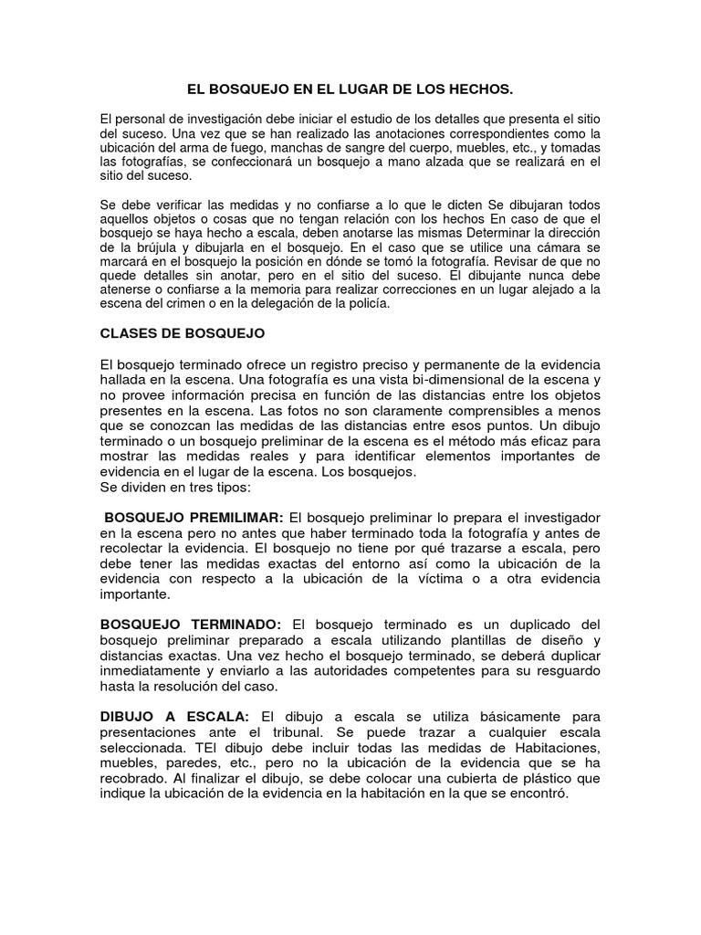 EL BOSQUEJO EN EL LUGAR DE LOS HECHOS.docx | Testimonio | Dibujo