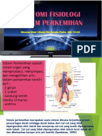 306704574-Anatomi-Fisiologi-Sistem-Perkemihan.pptx