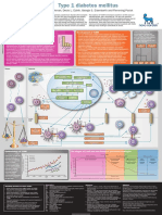 Diabetes Type1 Poster