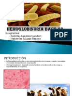 Hemoglobinuria bacilar en ganado vacuno: causas, síntomas y tratamiento