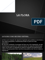 Unidad 2E flora.pdf
