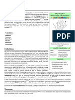 Rhyniophytina.pdf