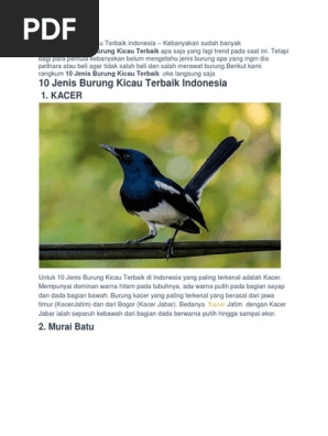 17+ Burung ocehan terbaik di indonesia terupdate
