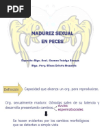 Programa Preliminar 1 | PDF | Feminismo | Estudios de género