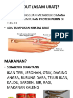 Apa Itu Gout (Asam Urat)