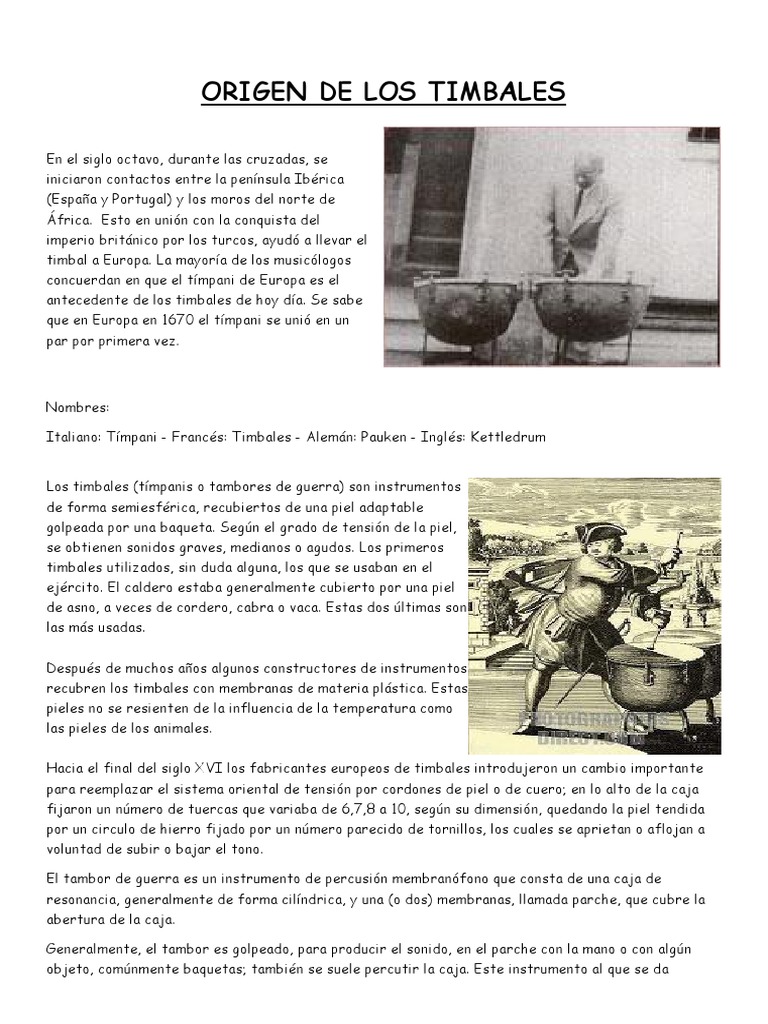 Origen de Los Timbales PDF Hornbostel Sachs Instrumentos musicales