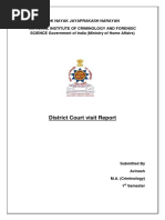 District Court Visit Report