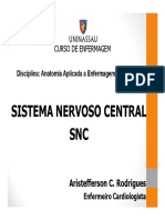 Aula - Sistema Nervoso Central