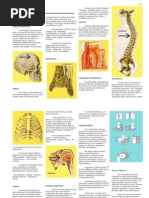 Apostila De Artrografia