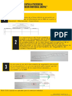 Capsula Psicosocial - Atencion Individual Grupal - PDF