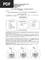 Guia Complementaria 1. Sistema Digestivo