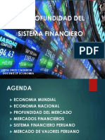 La Profundidad Del Sistema Financiero