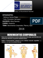 Anatomia.pptx