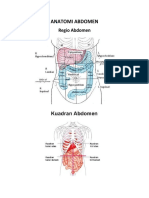 Anatomi Abdomen 1