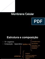 Membrana Celular