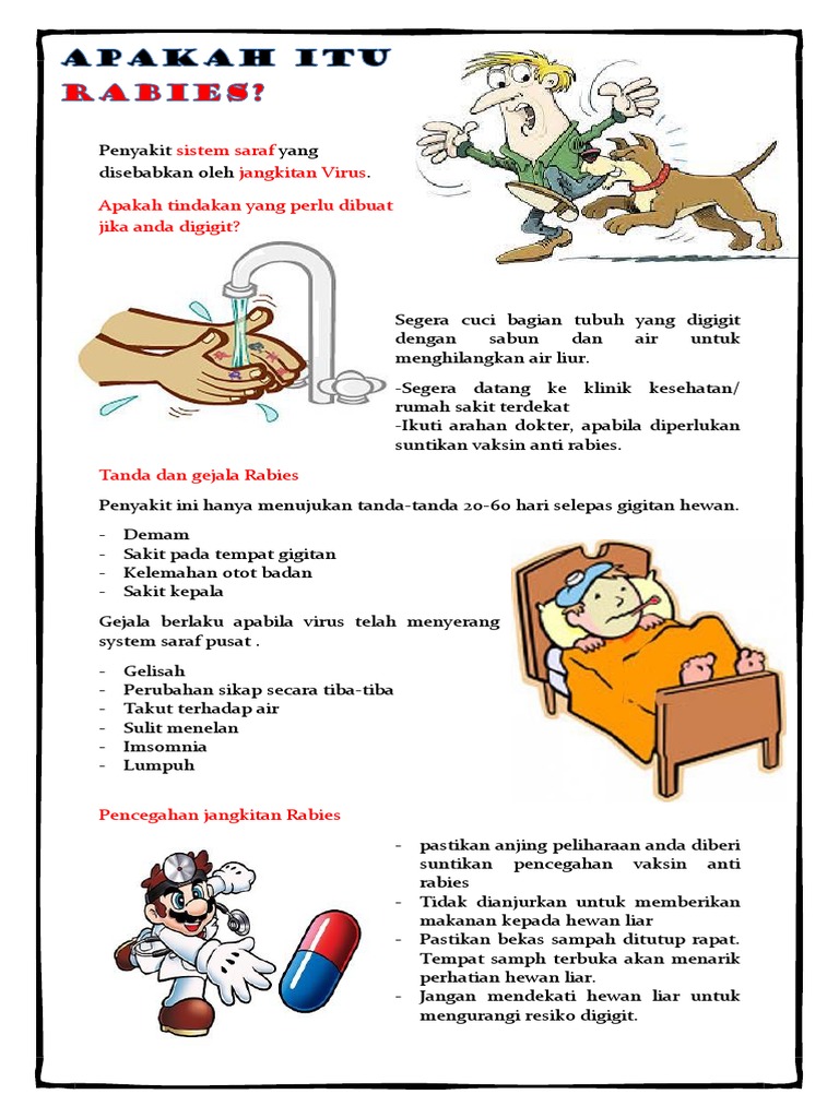 poster rabies.docx