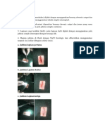 Penjahitan Dan Obat-Obatan Laparotomi Kucing Lyca