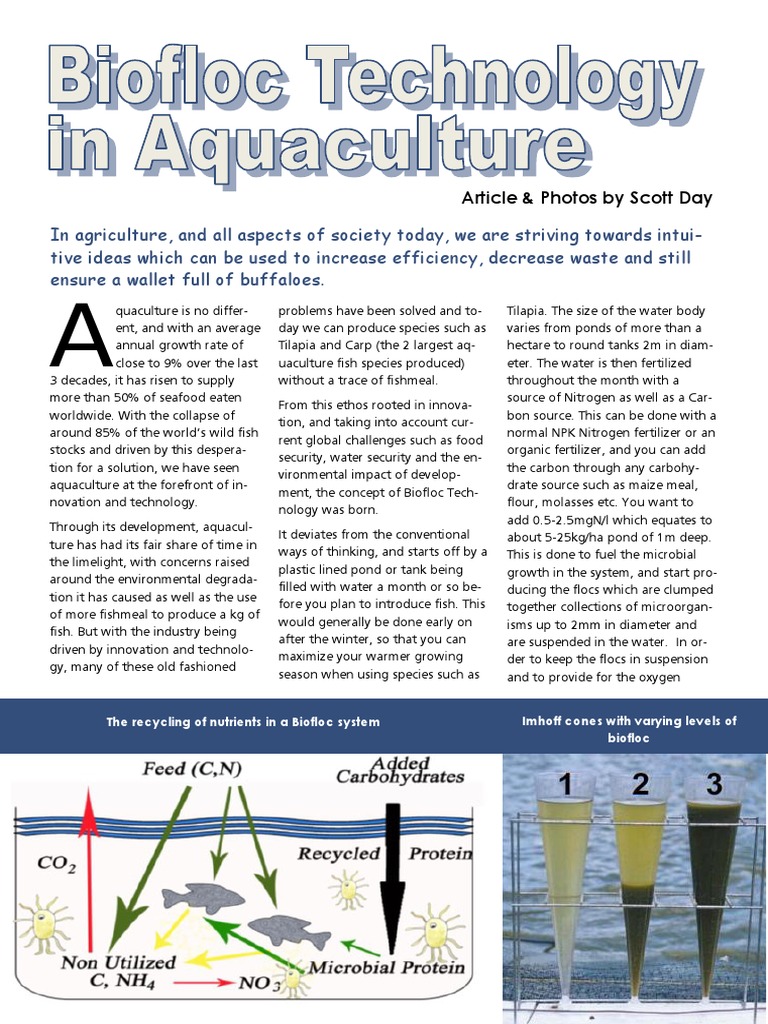 Biofloc Technology in Aquaculture | PDF | Aquaculture | Nature