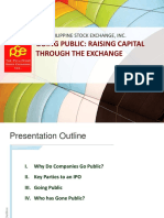 IPO Raising Capital
