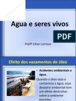 Atividade de Ciencias A Importancia Da Agua Respostas