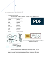 Trichuris Trichiura Dan Tatalaksana