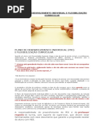Plano de Desenvolvimento Individual e Flexibilização Curricular