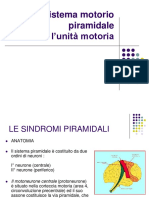 La Via Piramidale e La Unità Motoria