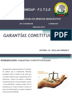 Garantias Constitucionales