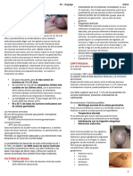 CA testicular ultimo.pdf