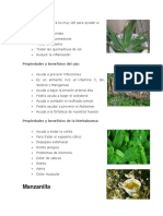 plantas medicinales.docx