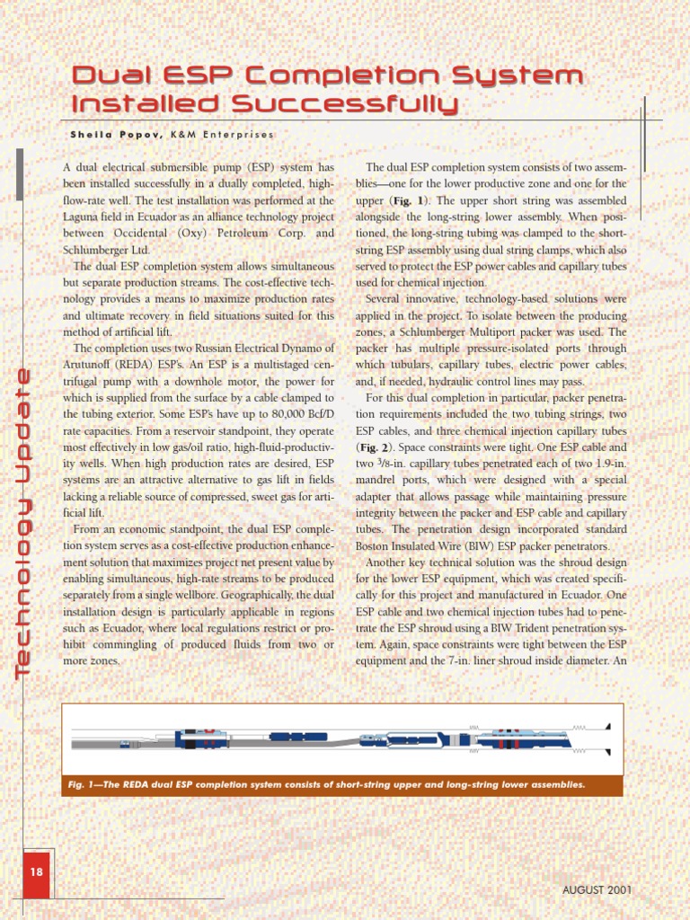 Dual ESP Completion System | PDF | Gas Technologies | Chemical Engineering