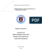 189422217-Registro-de-Neutron.pdf