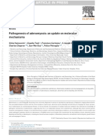 Pathogenesis of Adenomyosis: An Update On Molecular Mechanisms