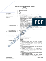 2013-rpp-ipa-xi.pdf